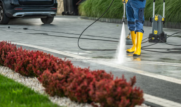 Professional Pressure Washing Services in Laurel, DE